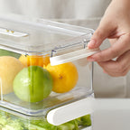 Della | Caixa de Armazenamento para Frigorífico | Recipiente PET Alimentar | Camada Simples ou Dupla