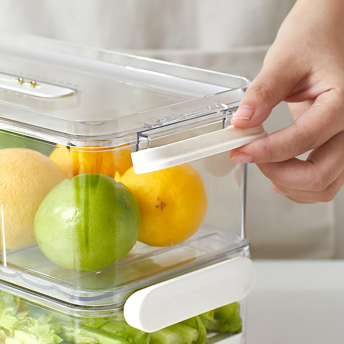 Della | Caixa de Armazenamento para Frigorífico | Recipiente PET Alimentar | Camada Simples ou Dupla