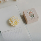 Nova | Vela Perfumada de Cravo | Decorativa, Presente para Ocasiões Especiais