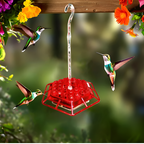 Faye | Comedouro para Beija-Flor Antiformigas 30 Portas