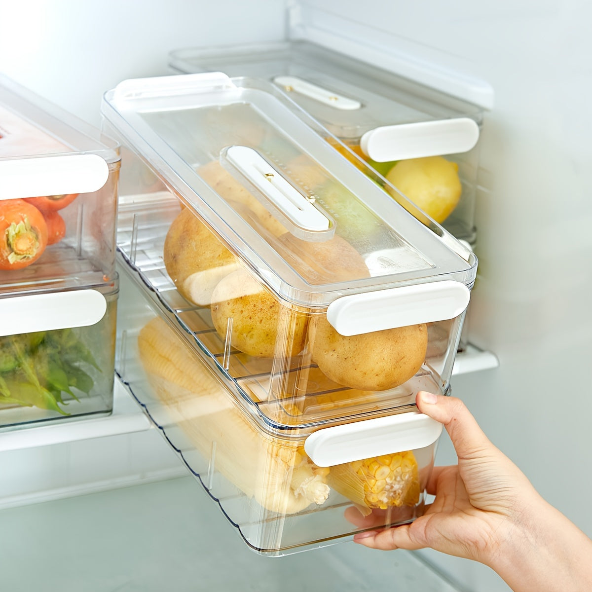 Della | Caixa de Armazenamento para Frigorífico | Recipiente PET Alimentar | Camada Simples ou Dupla