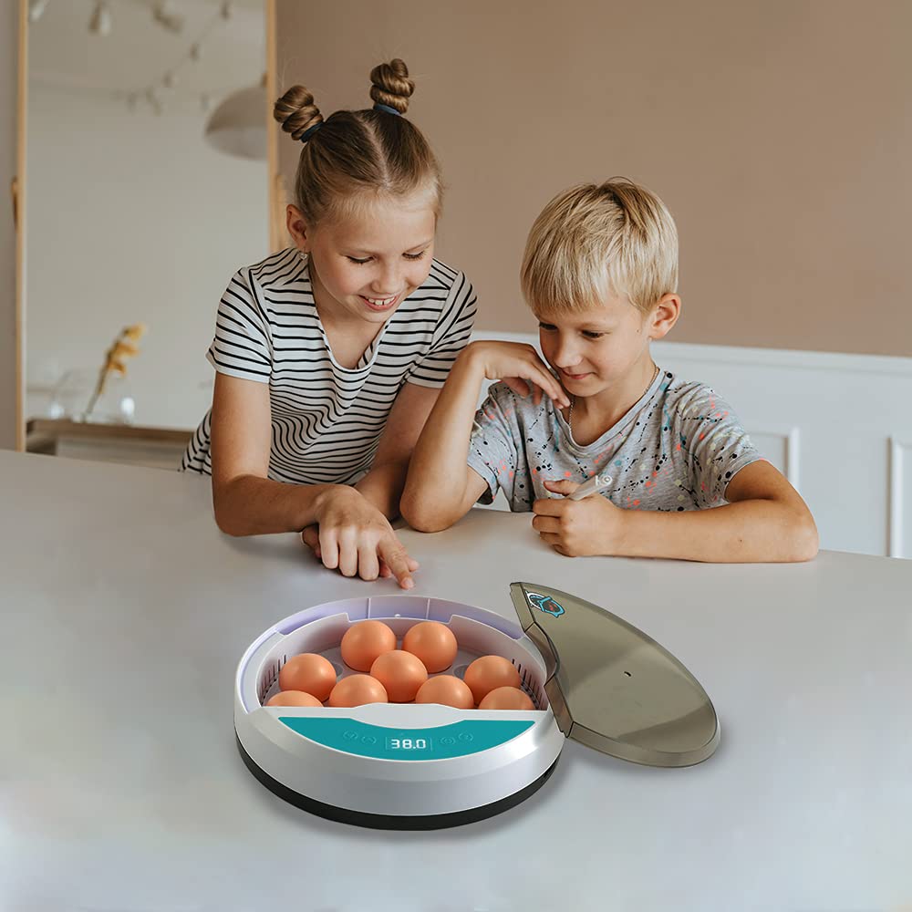 Romilly | Incubadora de Ovos Automática LED com Controlo de Temperatura