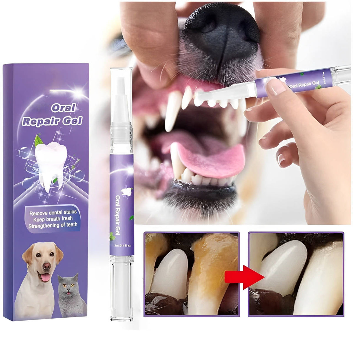 Gel Oral para Cães | Reparador, Antibacteriano | Kit com 3 Unidades