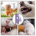 Gel Oral para Cães | Reparador, Antibacteriano | Kit com 3 Unidades