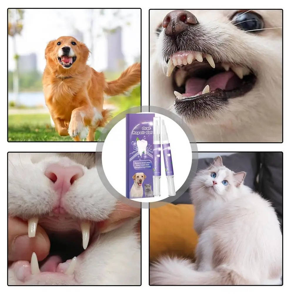 Gel Oral para Cães | Reparador, Antibacteriano | Kit com 3 Unidades