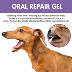 Gel Oral para Cães | Reparador, Antibacteriano | Kit com 3 Unidades