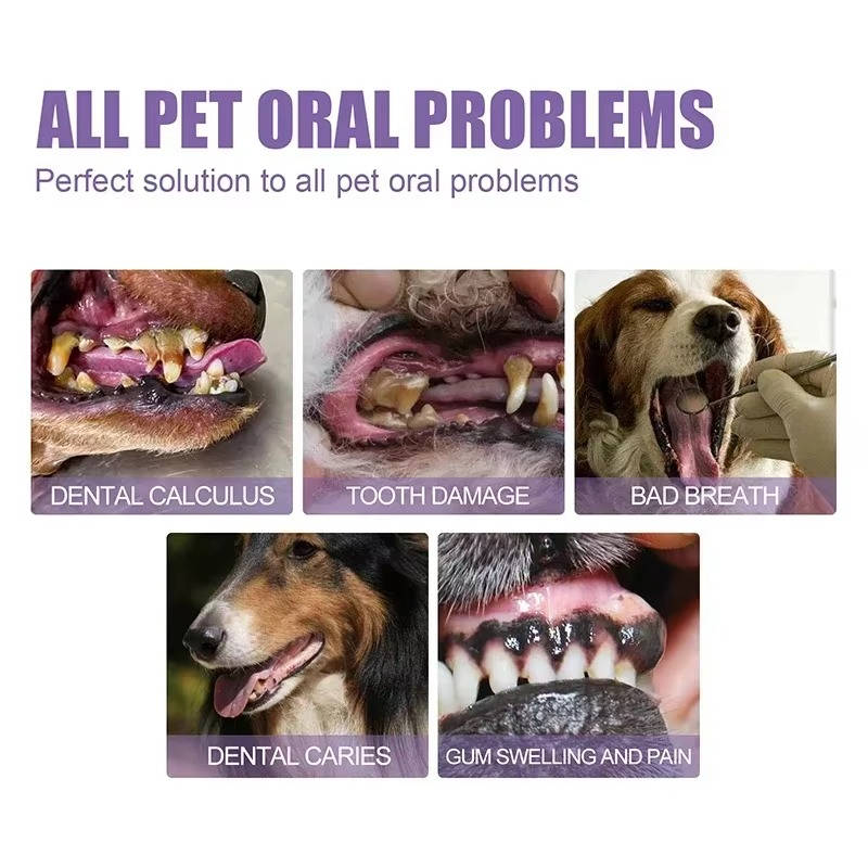 Gel Oral para Cães | Reparador, Antibacteriano | Kit com 3 Unidades