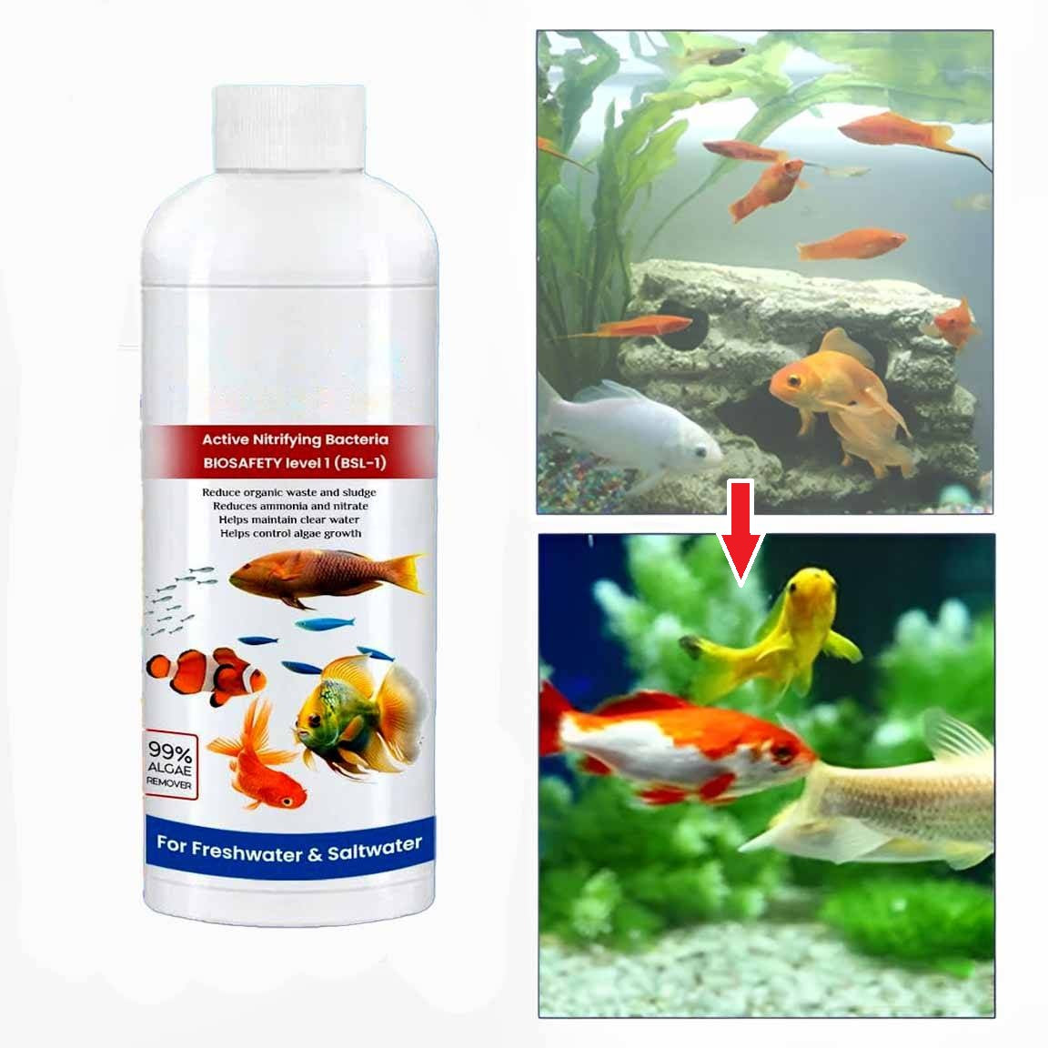 Nova | Limpador de Aquário Líquido | Pack 3 Unidades | Purificação Total
