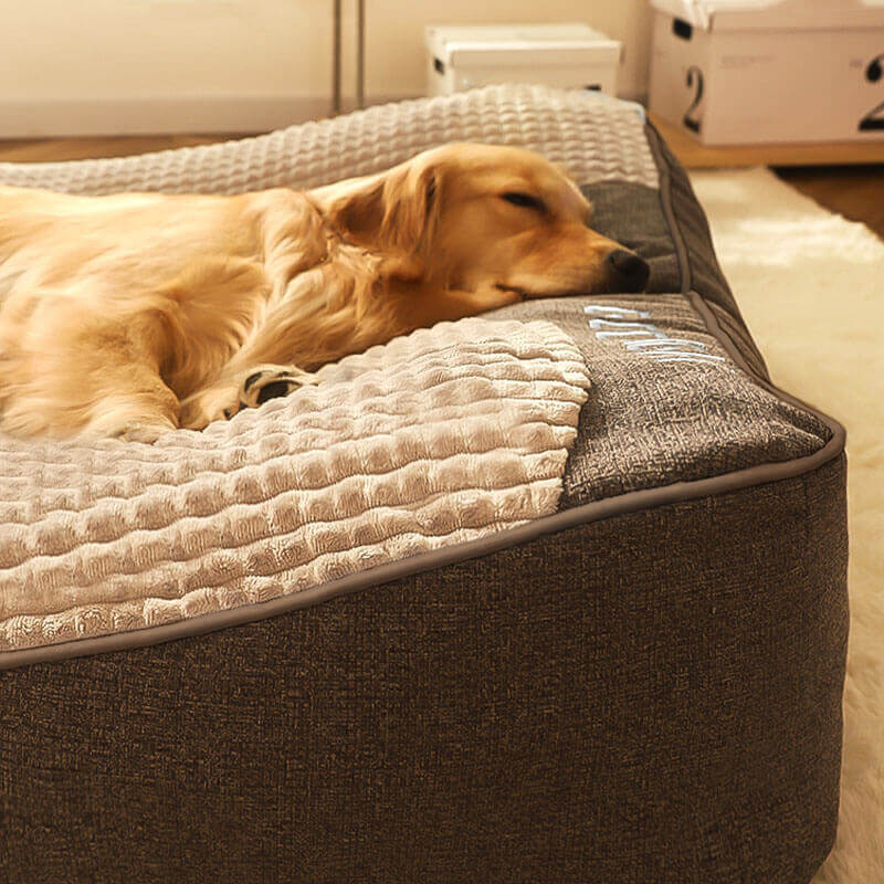 Anneke | Cama Ortopédica para Cães | Memory, Almofada Cervical | Grande