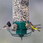 Ottavia | Comedouro para Pássaros | À Prova de Esquilos, Rotativo | Metal Resistente