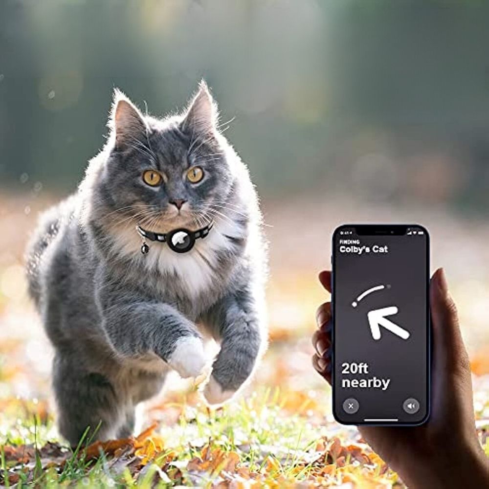 Liora | Coleira GPS para Gatos Refletiva com Libertação Rápida